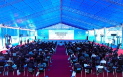 thumb_240_150_20231122033632143