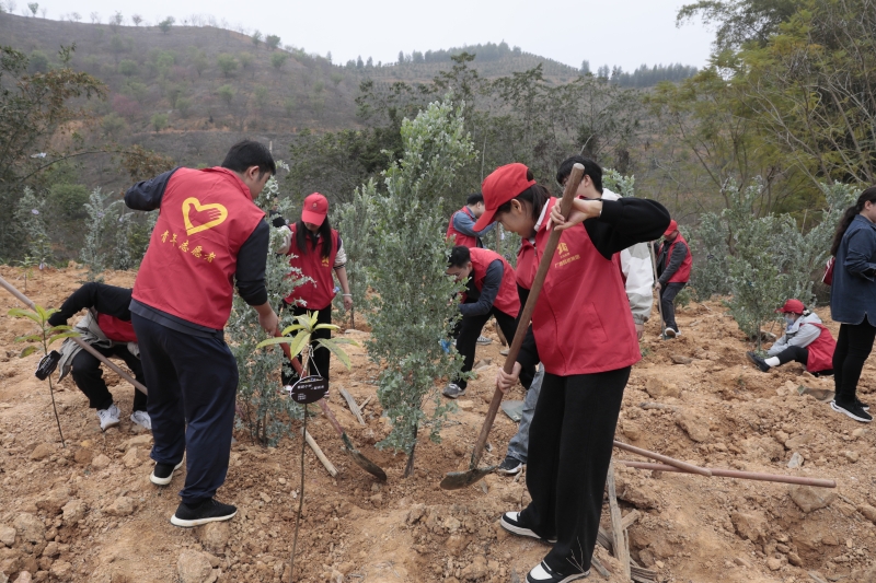 J9集团国际(中国)-官方网站