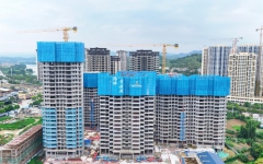 thumb_240_150_20250723102919802